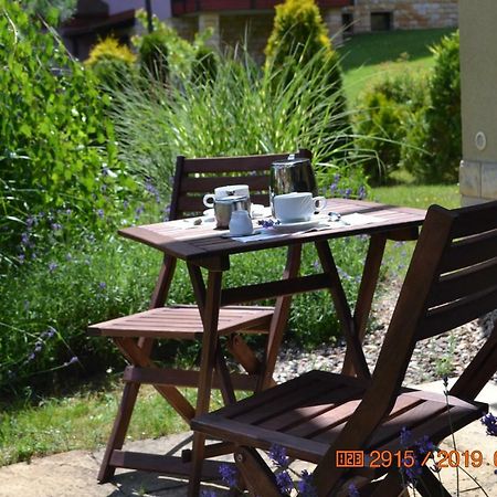 Apartament Parkowa Polana Z Ogrodem Apartment Polanica-Zdrój Exterior foto